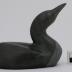 Arctic Loon