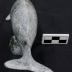 Narwhal