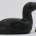 King Eider