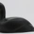 King Eider