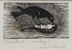 Fressender Rabe (Feeding Raven)