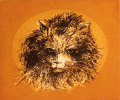 Persian Cat