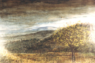 Vienna From the Woods