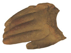 Hand