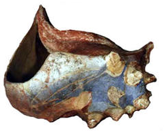 Sea Shell Sculpture