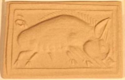 Wild Boar
