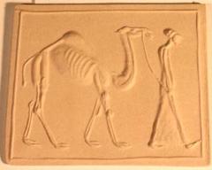 Man Leading Camel