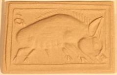 Wild Boar