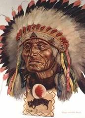 Chief Henry Oscar One Bull