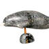 Narwhal