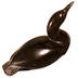 Arctic Loon
